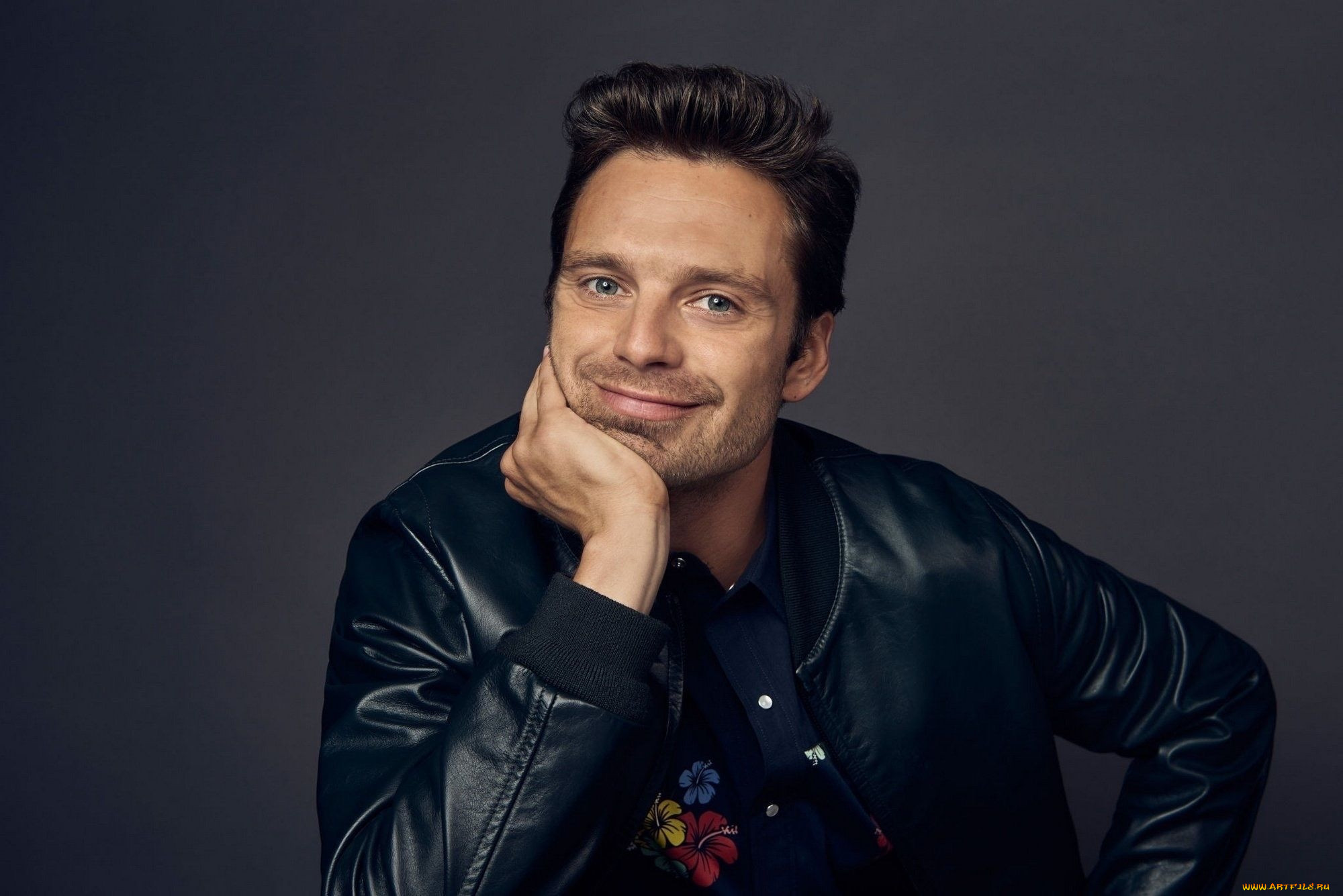 , sebastian stan, , 